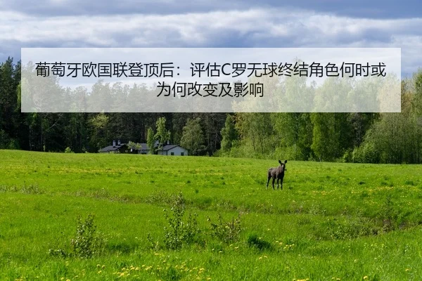 葡萄牙欧国联登顶后：评估C罗无球终结角色何时或为何改变及影响