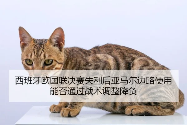 西班牙欧国联决赛失利后亚马尔边路使用能否通过战术调整降负
