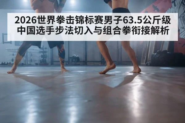 2026世界拳击锦标赛男子63.5公斤级中国选手步法切入与组合拳衔接解析